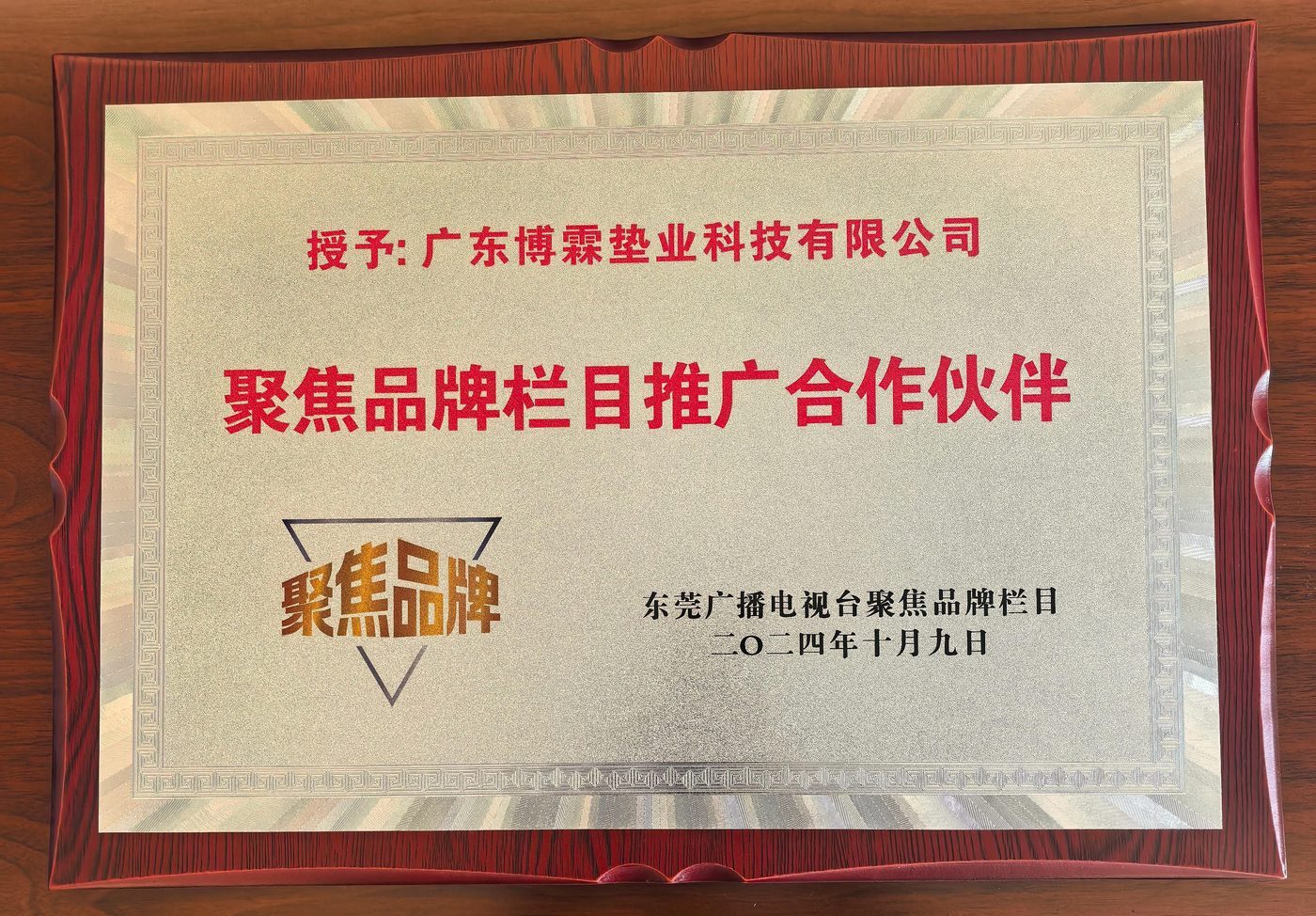 聚焦品牌栏目推广合作伙伴